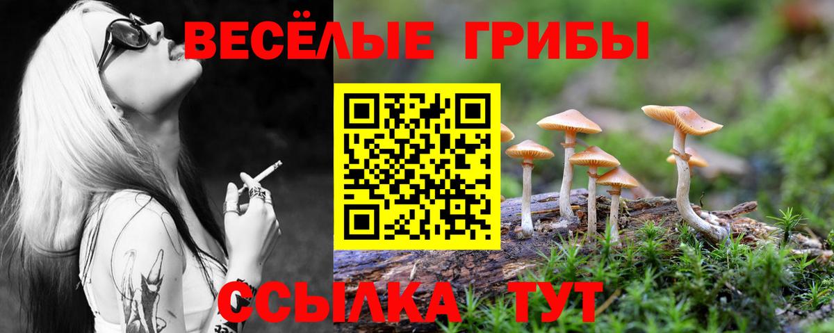 Псилоцибиновые грибы мицелий Омск
