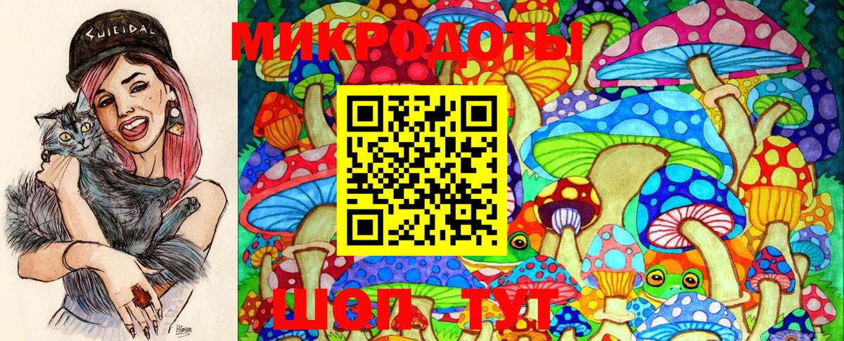 Галлюциногенные грибы Magic Shrooms  Вход с VPN  Омск  Галлюциногенные грибы Psilocybine cubensis 